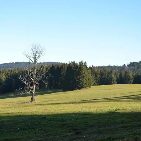 Beautiful Holiday In Bohemian Near Forest Železná Ruda