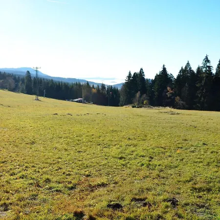 Beautiful Holiday In Bohemian Near Forest * Železná Ruda
